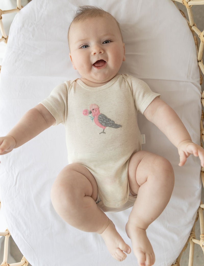 Purebaby Easyneck Bodysuit - Wheat Stripe Galah